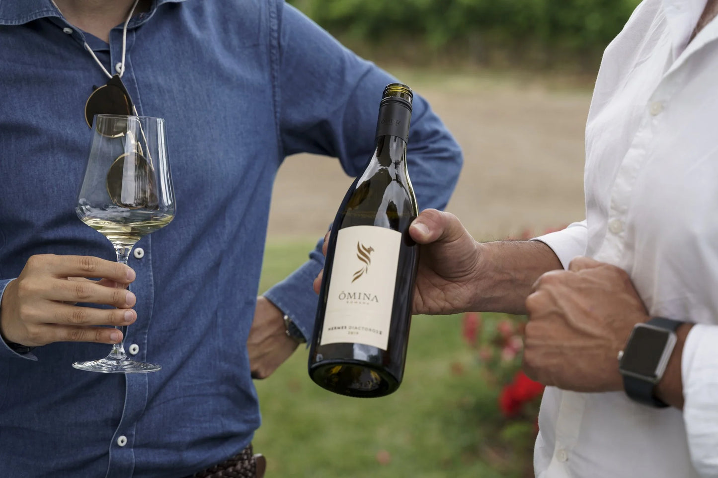 Vino Bianco HERMES DIACTOROS Omina | 750ml