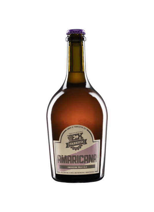 birra pale ale amaricana del birrificio exfabrica venduta da buono!